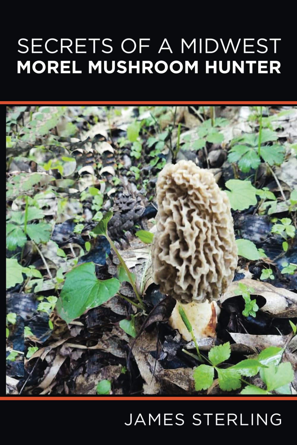 Book cover titled 'Secrets of a Midwest Morel Mushroom Hunter,' featuring illustrations of yellow morels and forest scenery, designed for foragers and mushroom hunting enthusiasts.